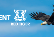 NetEnt Group debuts Red Tiger games in the US with Rush Street Interactive