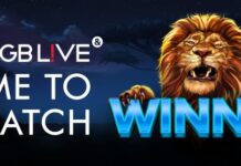 Red Tiger’s Wild Cats Multiline Nets Game to Watch Award at iGB LIVE!