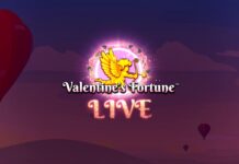 Spinomenal Love Celebration