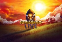 Capture the Buffalo in Spinomenal wild & brand-new flight