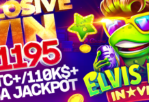 Elvis Frog Mega Jackpot: lucky player grabs $110K in BTC in BGaming’s hit slot