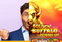 iSoftBet prepares for stampede of wins in Golden Buffalo Double Up